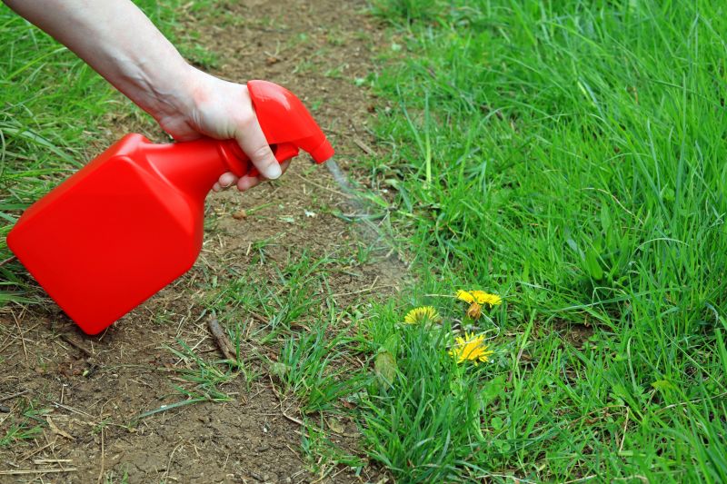 Weed Spraying