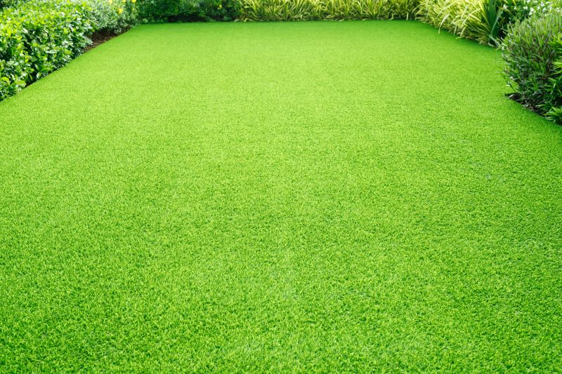 Healthy Lawn Close-Up