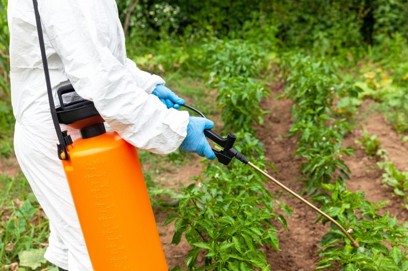 Property Maintenance with Weed Sprayings